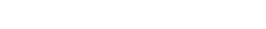 "Næ næ, Hr. Formand - du skal ikke hælde din rødvin i køleren, bare fordi bilen tilfældigvis er rød....."